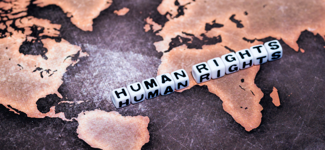 Human Rights Day: Safe and Affordable Imported Medicine and the Internet